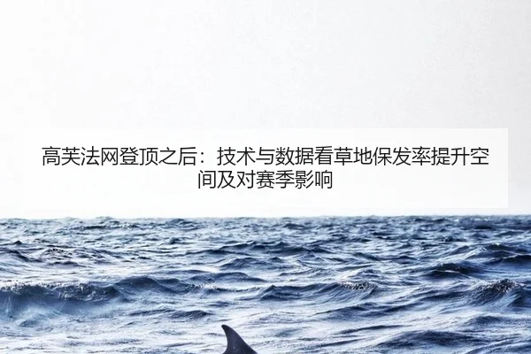 高芙法网登顶之后：技术与数据看草地保发率提升空间及对赛季影响