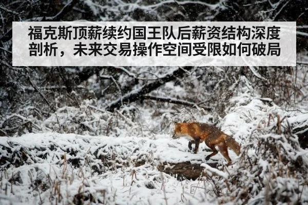 福克斯顶薪续约国王队后薪资结构深度剖析，未来交易操作空间受限如何破局
